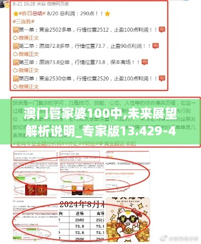 澳门管家婆100中,未来展望解析说明_专家版13.429-4