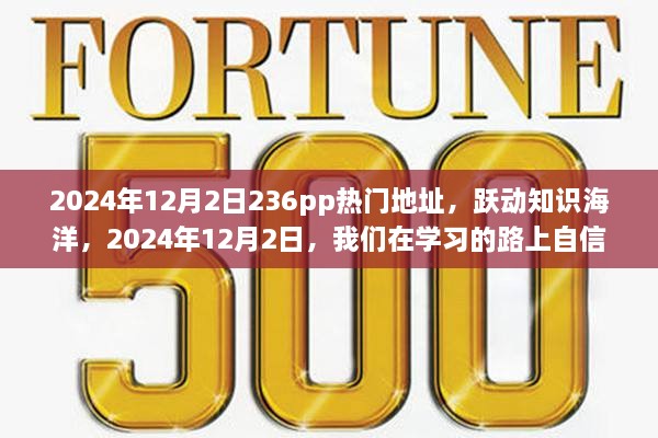 跃动知识海洋，学习路上的自信闪耀——2024年热门学习地址揭秘