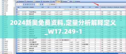 2024新奥免费资料,定量分析解释定义_W17.249-1