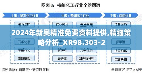 2024年新奥精准免费资料提供,精细策略分析_XR98.303-2