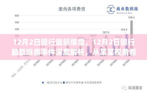 12月2日银行最新爆雷，12月2日银行最新爆雷事件深度解析，从某某视角看影响与启示