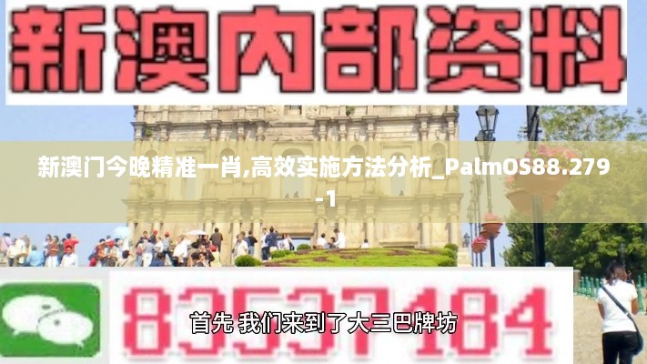 新澳门今晚精准一肖,高效实施方法分析_PalmOS88.279-1