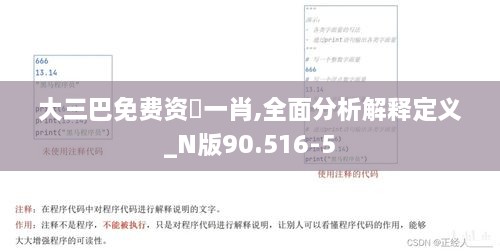 大三巴免费资枓一肖,全面分析解释定义_N版90.516-5