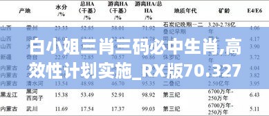 白小姐三肖三码必中生肖,高效性计划实施_RX版70.327-7