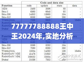 77777788888王中王2024年,实地分析解释定义_SHD97.651-6