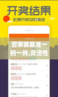 管家婆最准一码一肖,灵活性计划实施_Phablet11.269-4