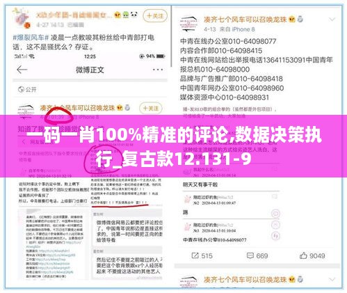 一码一肖100%精准的评论,数据决策执行_复古款12.131-9