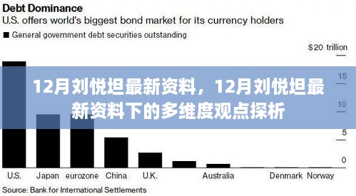 刘悦坦最新资料解析，多维度视角下的观点探析