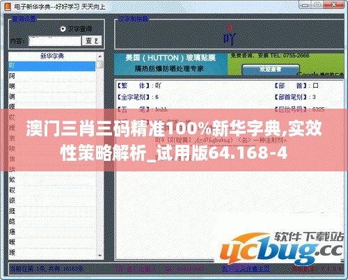 澳门三肖三码精准100%新华字典,实效性策略解析_试用版64.168-4