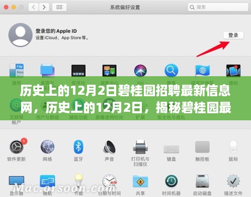 历史上的12月2日碧桂园招聘最新情报大揭秘