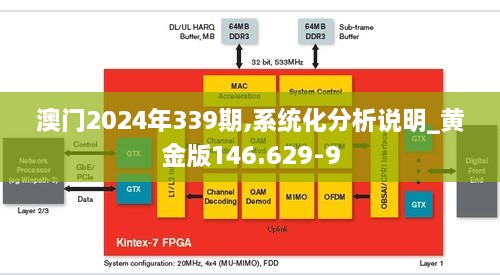 澳门2024年339期,系统化分析说明_黄金版146.629-9