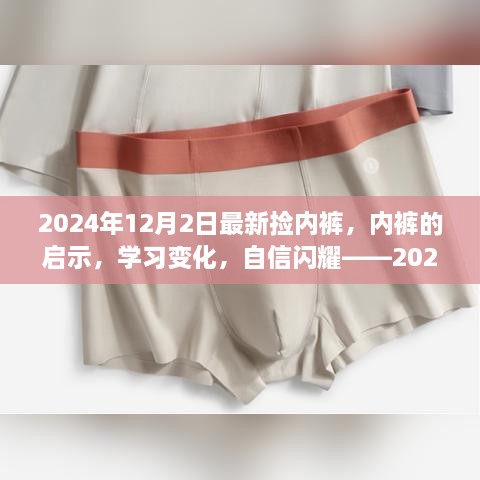 捡内裤的奇妙启示，自信闪耀的2024年12月2日学习之旅