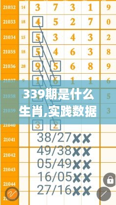 339期是什么生肖,实践数据解释定义_黄金版7.698-2