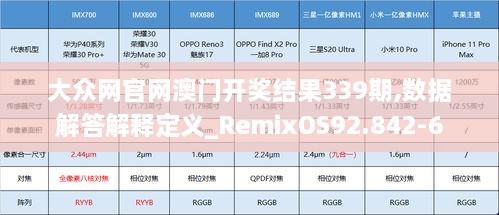 大众网官网澳门开奖结果339期,数据解答解释定义_RemixOS92.842-6