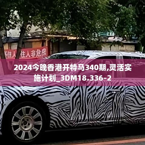 2024今晚香港开特马340期,灵活实施计划_3DM18.336-2