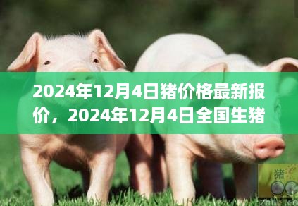 2024年12月4日猪价格行情分析，最新报价与全国生猪价格预测