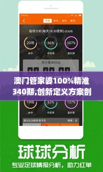 澳门管家婆100%精准340期,创新定义方案剖析_专业款194.913-1