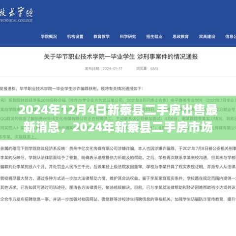 2024年新蔡县二手房市场最新动态及优质房源出售信息一览