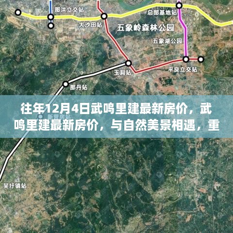 武鸣里建最新房价，与自然美景相遇的宁静家园