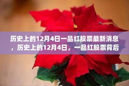 历史上的12月4日，一品红股票的最新动态与励志故事，揭示变化的力量与学习的魅力