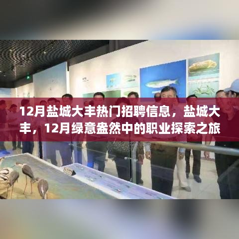 盐城大丰12月热门招聘信息，绿意盎然中的职业探索之旅