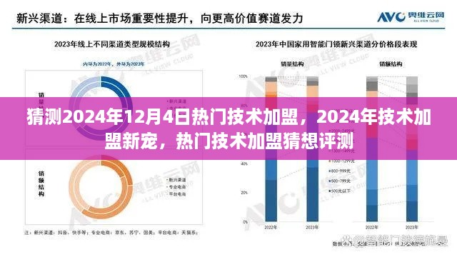 2024年技术加盟猜想，热门项目新宠与未来趋势评测揭秘！