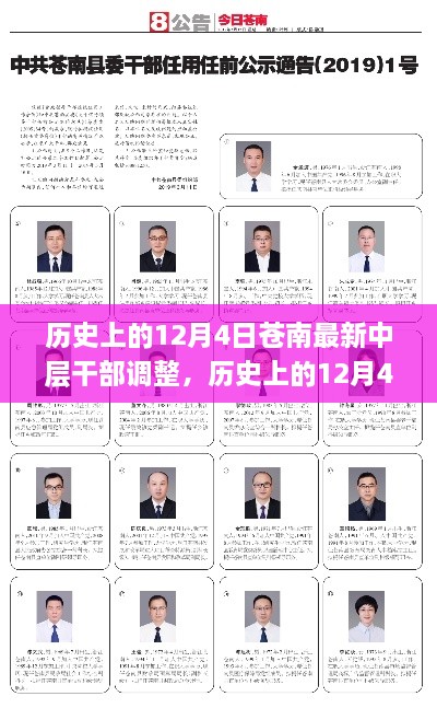 苍南中层干部调整深度解析，历史上的12月4日回顾与解析