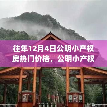 公明小产权房历年十二月价格揭秘，探秘十二月的秘密价格与旧事回顾