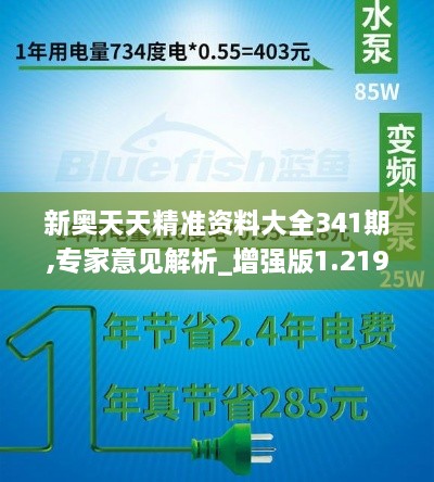 新奥天天精准资料大全341期,专家意见解析_增强版1.219