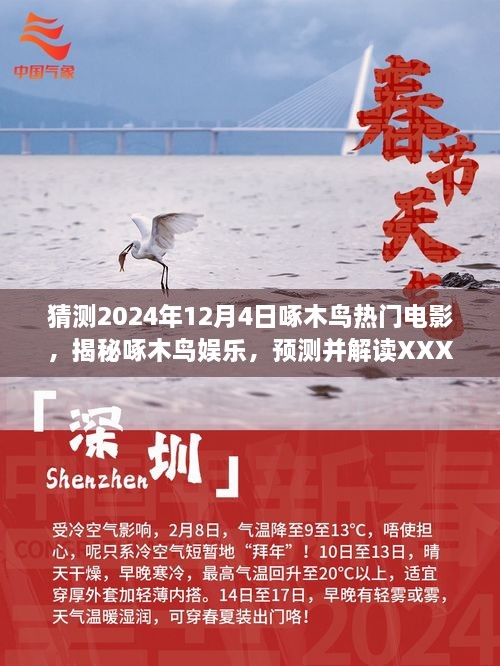 揭秘啄木鸟娱乐，预测并解读2024年啄木鸟热门电影的全方位评测与揭秘。