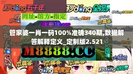 管家婆一肖一码100%准确340期,数据解答解释定义_定制版2.521