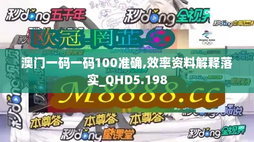 澳门一码一码100准确,效率资料解释落实_QHD5.198