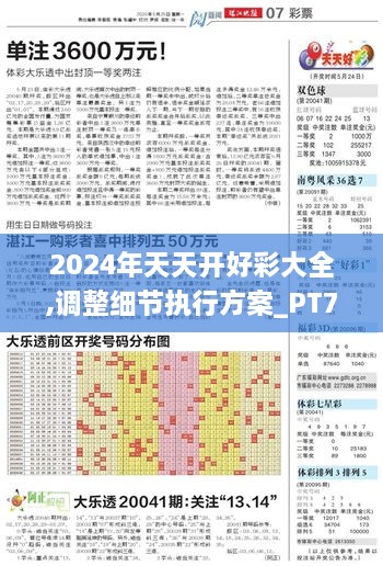 2024年天天开好彩大全,调整细节执行方案_PT7.939