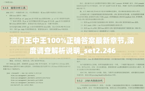 澳门王中王100%正确答案最新章节,深度调查解析说明_set2.246