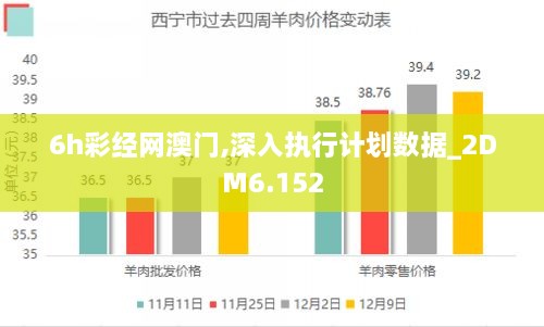 6h彩经网澳门,深入执行计划数据_2DM6.152