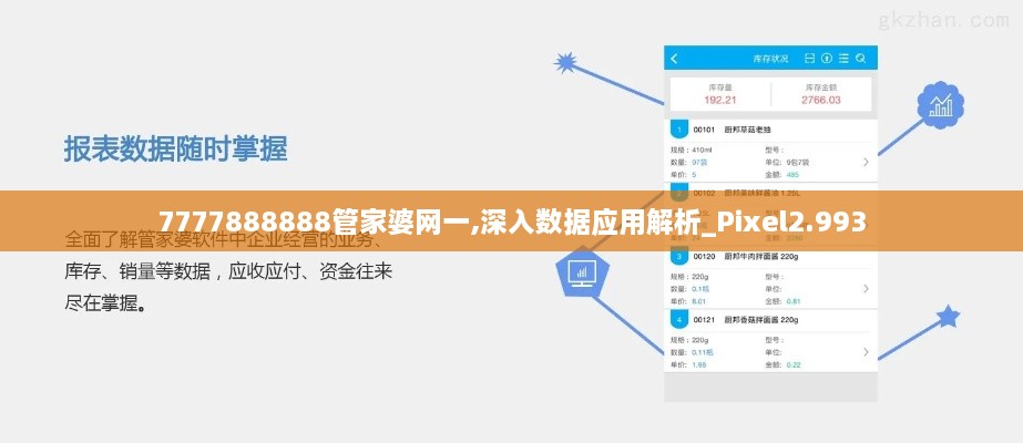 7777888888管家婆网一,深入数据应用解析_Pixel2.993
