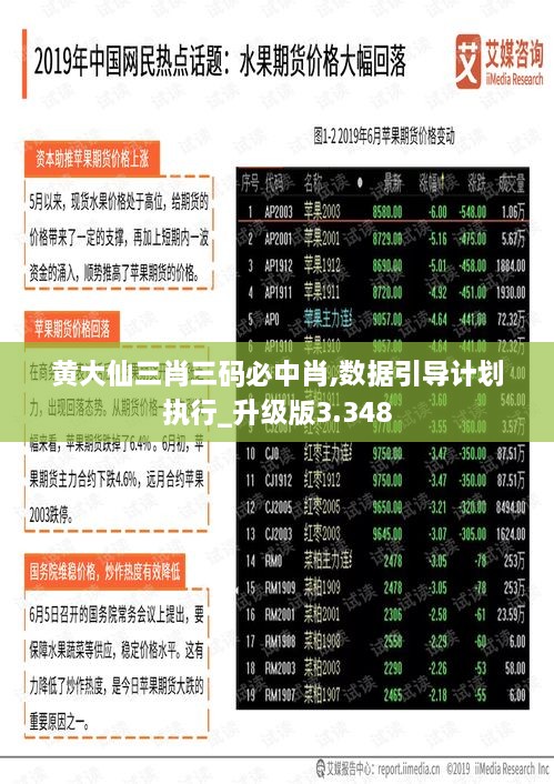 黄大仙三肖三码必中肖,数据引导计划执行_升级版3.348