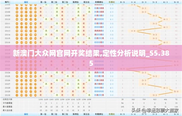 新澳门大众网官网开奖结果,定性分析说明_S5.385