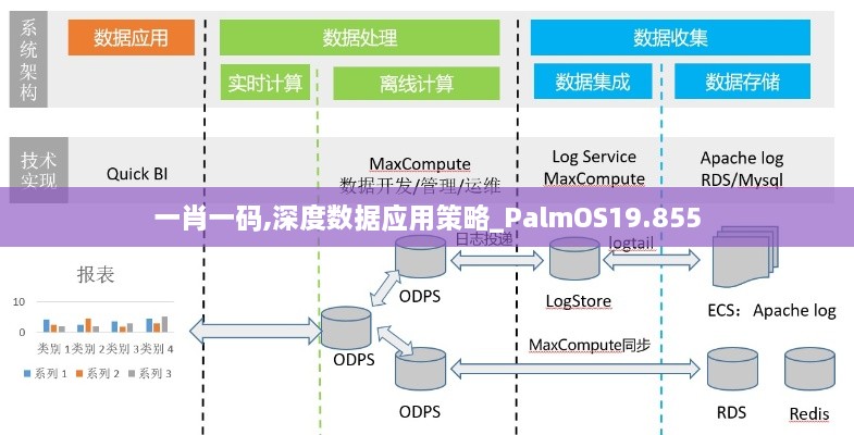 一肖一码,深度数据应用策略_PalmOS19.855