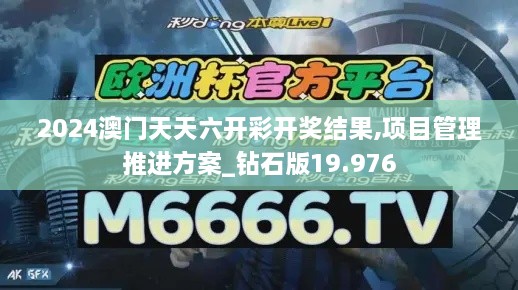 2024澳门天天六开彩开奖结果,项目管理推进方案_钻石版19.976