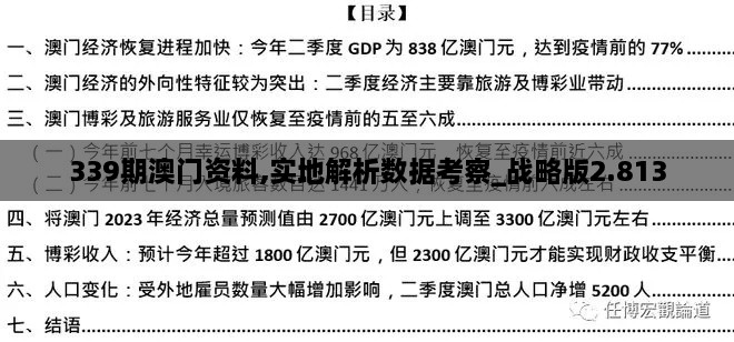 339期澳门资料,实地解析数据考察_战略版2.813