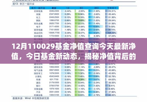 揭秘今日最新净值动态，探寻基金背后的故事与温馨时光