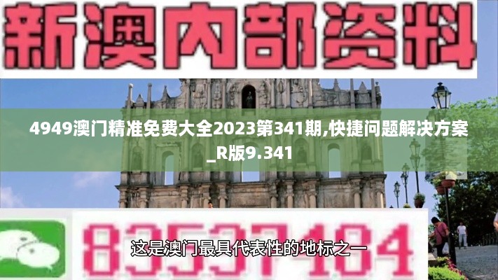 4949澳门精准免费大全2023第341期,快捷问题解决方案_R版9.341