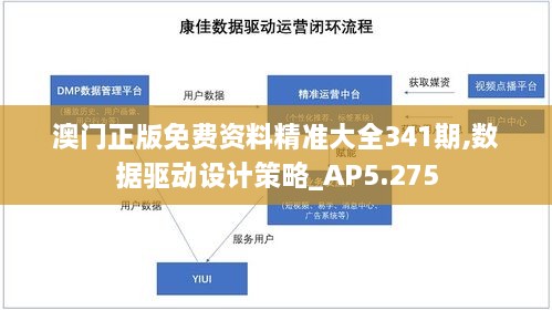 澳门正版免费资料精准大全341期,数据驱动设计策略_AP5.275