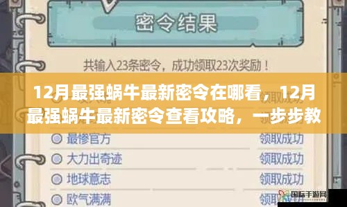 12月最强蜗牛最新密令攻略，查看方法与获取步骤