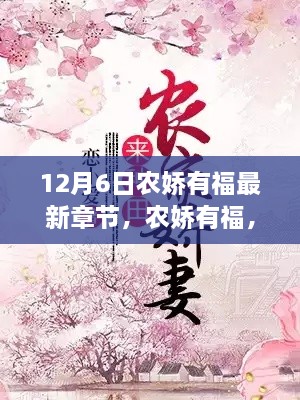 农娇有福最新章节概览与深度解读（12月6日更新）