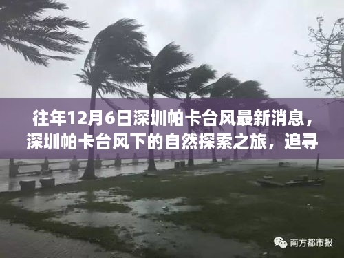 深圳帕卡台风下的自然探索之旅，追寻内心宁静与奇迹的台风日体验