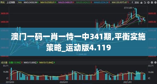 澳门一码一肖一恃一中341期,平衡实施策略_运动版4.119