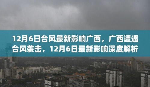 广西遭遇台风袭击，最新影响深度解析（12月6日台风最新动态）