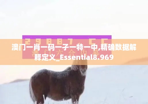 澳门一肖一码一孑一特一中,精确数据解释定义_Essential8.969